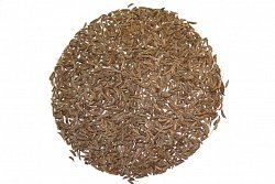 Rasca celá Reny